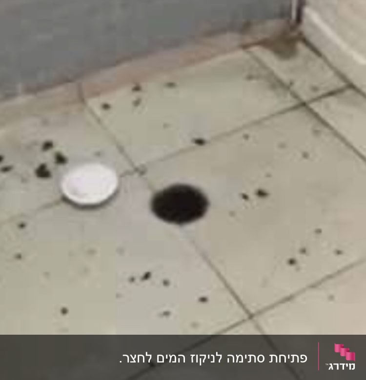 רצפת חדר אמבטיה עם פתח ניקוז פתוח